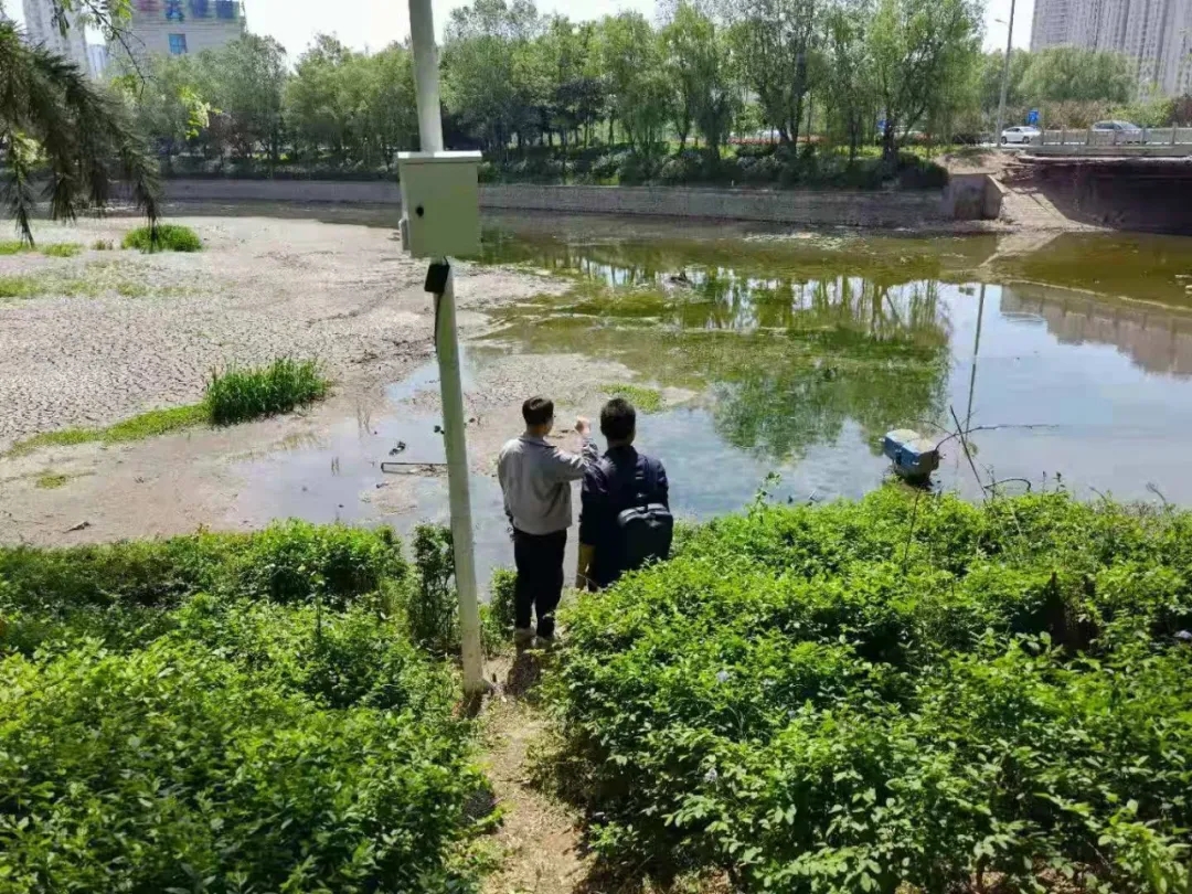 1622104204674900.jpg 3.webp.jpg