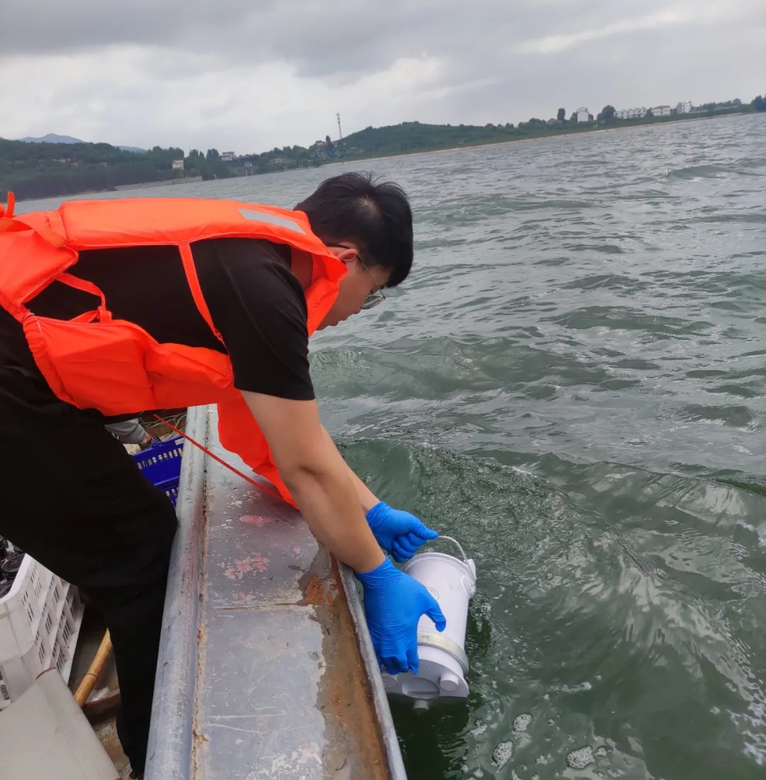 1628131000972255.jpg 2.webp.jpg